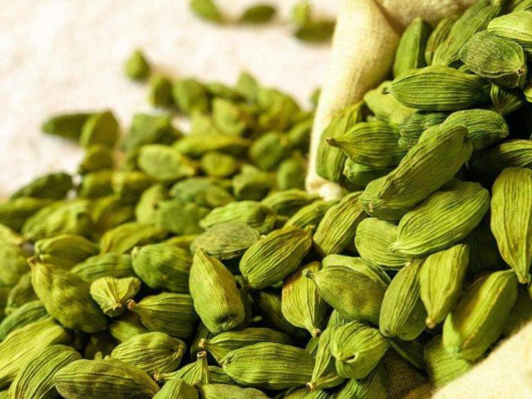 Cardamom