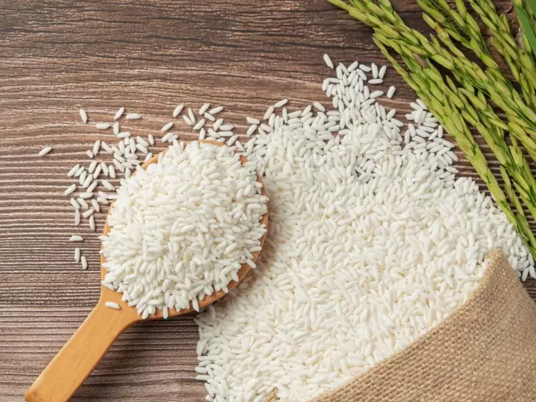 Jasmine Rice
