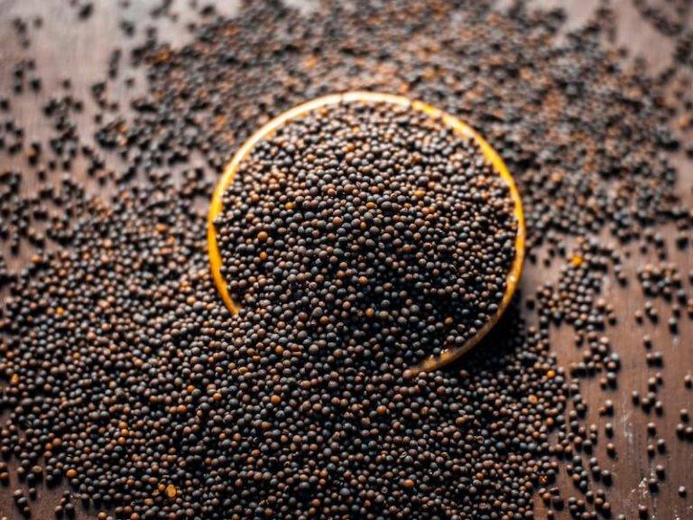 Mustard Seeds