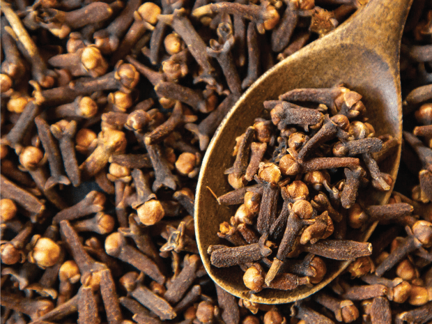 Cloves